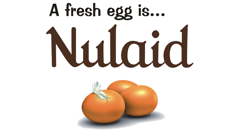 Nulaid Logo 1920x1080p.PNG