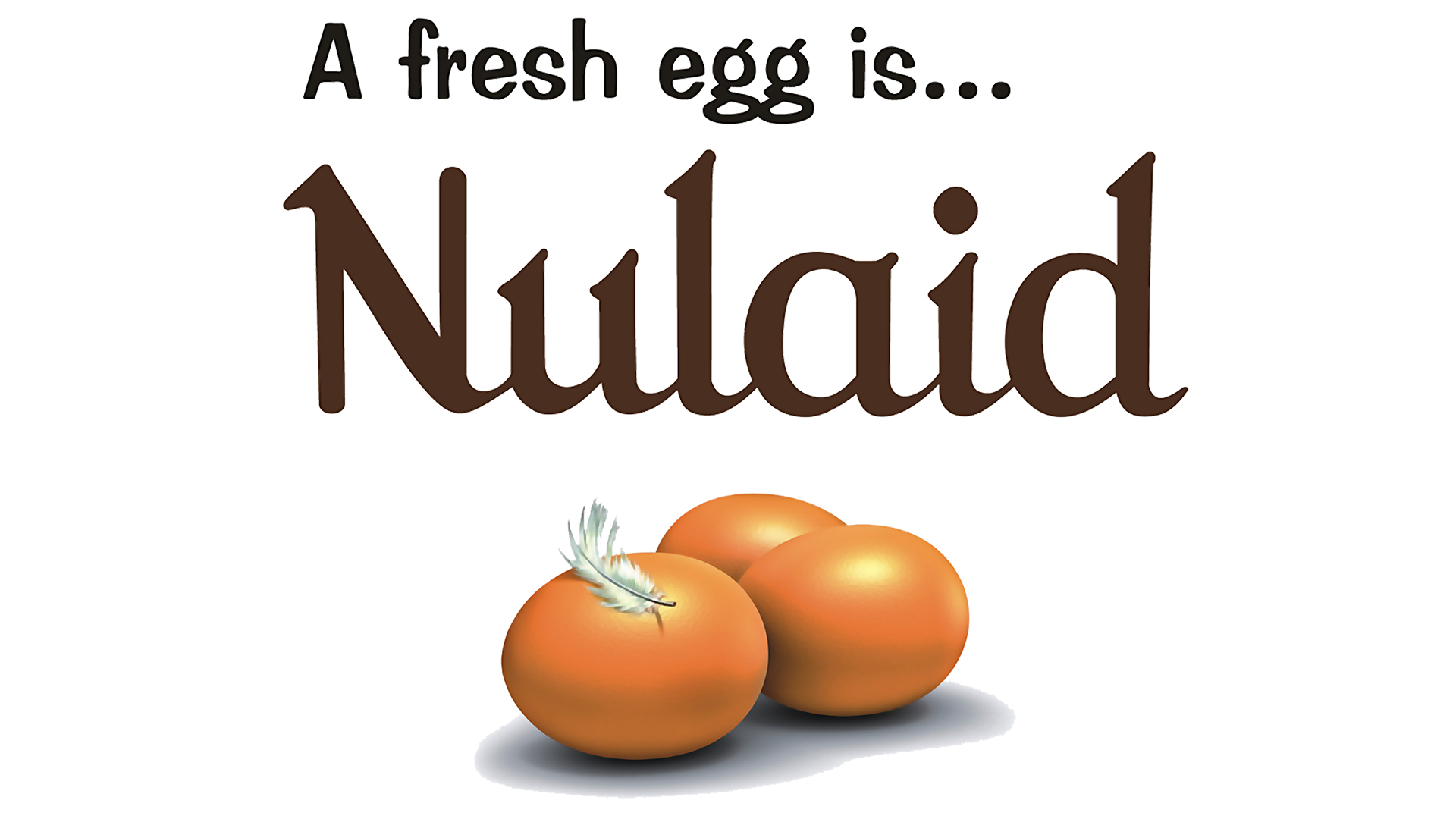 Nulaid Logo 1920x1080p.PNG